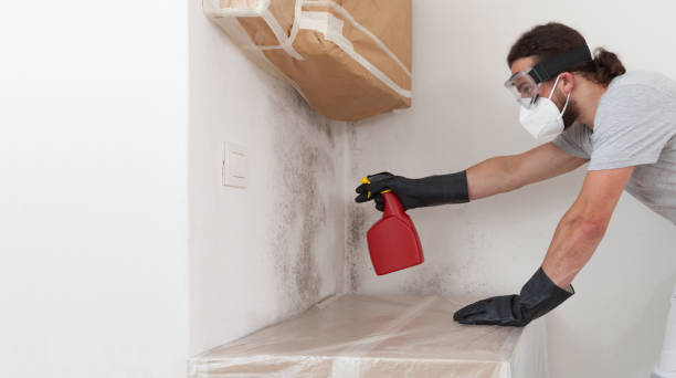 Professional Mold Removal technician working in Flagtown, NJ